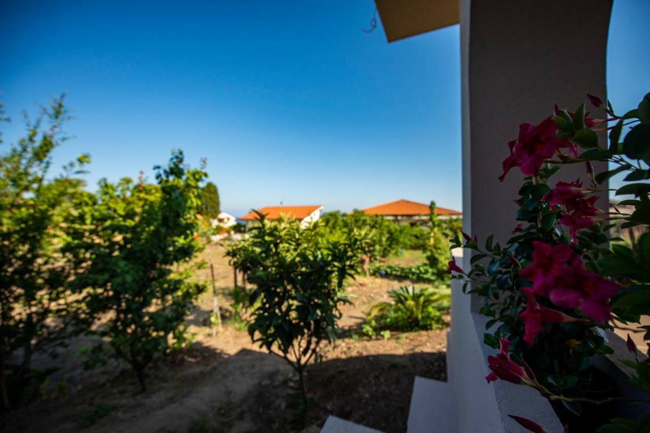 Michelino House Bed & Breakfast Parghelia Ngoại thất bức ảnh